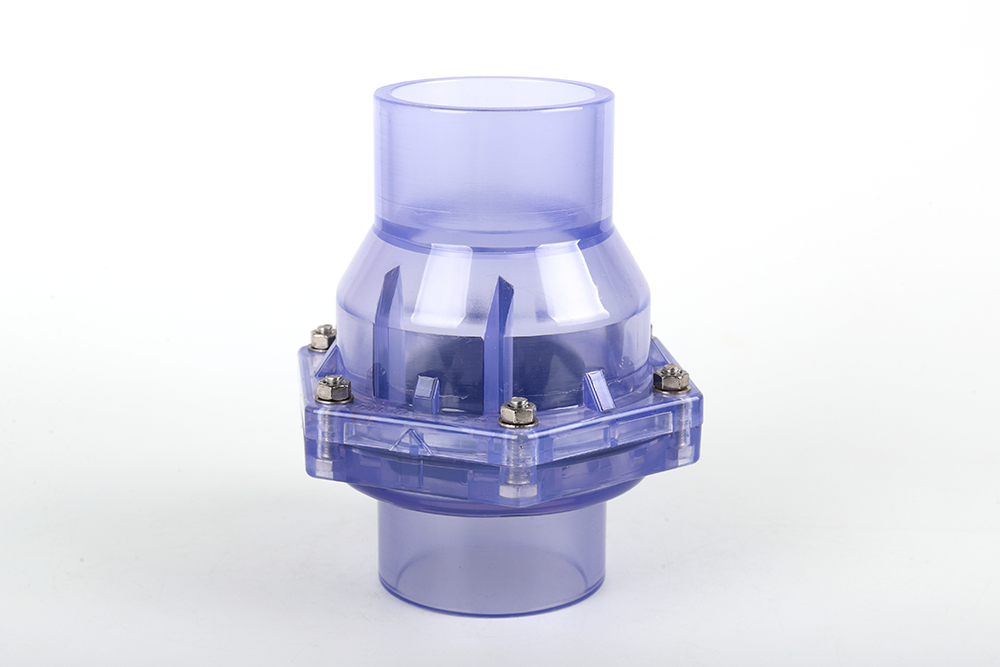 城口透明翻板式止回阀